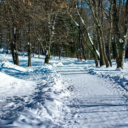 Orphey מלון בנסקו
